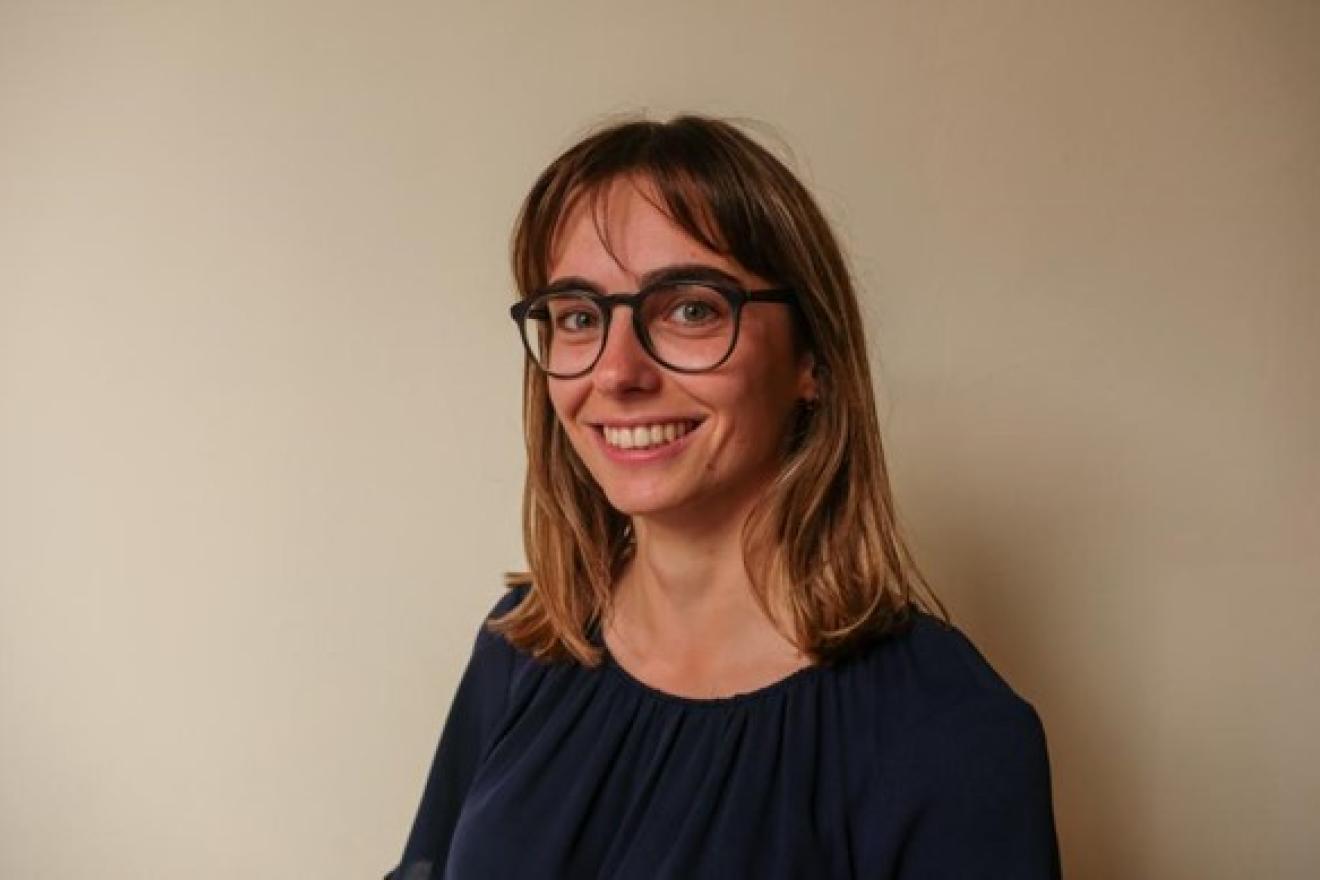 AlfaSent uses AI to recognize emotions in texts